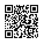 D09P13A6GV00LF QRCode