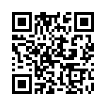 D13007VF13V QRCode