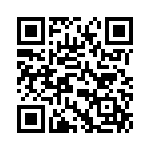 D38999-20WC4PB QRCode