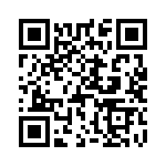 D38999-21HE8ZE QRCode