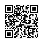 D38999-24WJ4AN QRCode