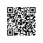 D55342E07B100BCWS QRCode