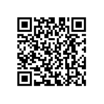 D55342E07B140BRWS QRCode