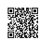 D55342E07B147BPWS QRCode