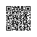 D55342E07B1E37CWS QRCode