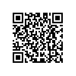 D55342E07B200BRWS QRCode