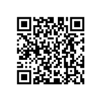 D55342E07B205BRWS QRCode