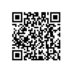 D55342E07B20B5RWS QRCode