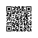 D55342E07B255BRWS QRCode