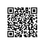 D55342E07B270ERWS QRCode