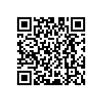 D55342E07B280ERWS QRCode