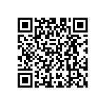 D55342E07B2B21RTP QRCode