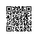 D55342E07B2B80RWS QRCode