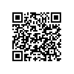 D55342E07B30B5RWS QRCode