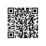 D55342E07B316BRWS QRCode