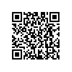 D55342E07B39E2PWS QRCode