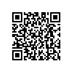 D55342E07B3B24RT5 QRCode