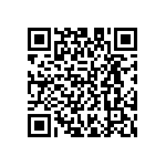 D55342E07B3B40RTP QRCode