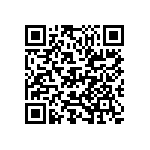 D55342E07B45E3RWS QRCode