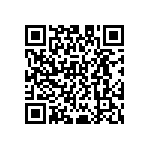 D55342E07B499DRTF QRCode