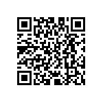 D55342E07B835ARWS QRCode