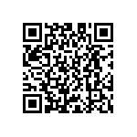 D55342E07B8B66RWS QRCode