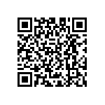 D55342E07B8B87RTP QRCode