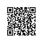 D55342E07B953ERWS QRCode