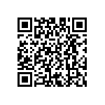 D55342E07B95B3RT5 QRCode