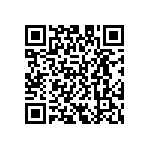 D55342E07B965ARTP QRCode