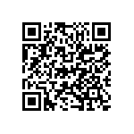 D55342H07B4E99RT1 QRCode