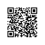 DAMQ11W1P0L4A190K87 QRCode