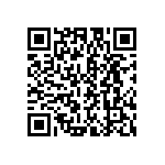 DBM13W3P1A5NA191K87 QRCode