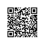 DBM13W3P1A7NA191K87 QRCode