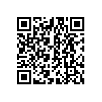 DBM13W3S1AFNA191A197 QRCode