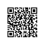 DBM17H2P0L4A191K87 QRCode