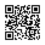 DBMMZ21W1PNK87 QRCode