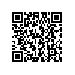 DCM13W6P1A9NA190K87 QRCode