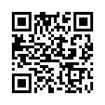 DF2167VT33V QRCode