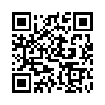 DF3E-4P-2H-21 QRCode