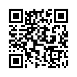 DG2532DQ-T1-E3 QRCode