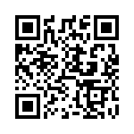 DL4936-13 QRCode