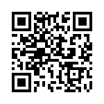 DS-313-PIN QRCode