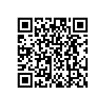 DW-02-09-T-S-335 QRCode