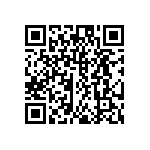 DW-02-12-G-S-333 QRCode