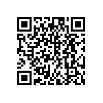 DW-02-13-G-D-385 QRCode