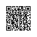 DW-02-15-S-S-313 QRCode