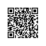 DW-02-17-L-D-284 QRCode