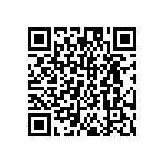 DW-02-17-T-S-256 QRCode