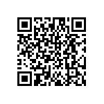 DW-03-15-T-S-384 QRCode